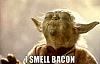 The AI-generated cat pictures thread-96920-yoda-i-smell-bacon-meme-funny-1egq.jpeg