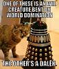 The AI-generated cat pictures thread-80-dalek_cat_512bc482354081d1b6b0e5f65460130d32c30d11.jpg