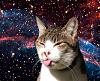 The AI-generated cat pictures thread-spacecat.jpg