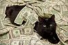 The AI-generated cat pictures thread-black-cat-rolling-money.jpg