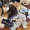 The AI-generated cat pictures thread-cashcats.jpg