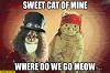 The AI-generated cat pictures thread-sweet-cat-mine-where-do-we-go-meow-axl-rose.jpg