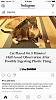 The AI-generated cat pictures thread-img_1073.jpg