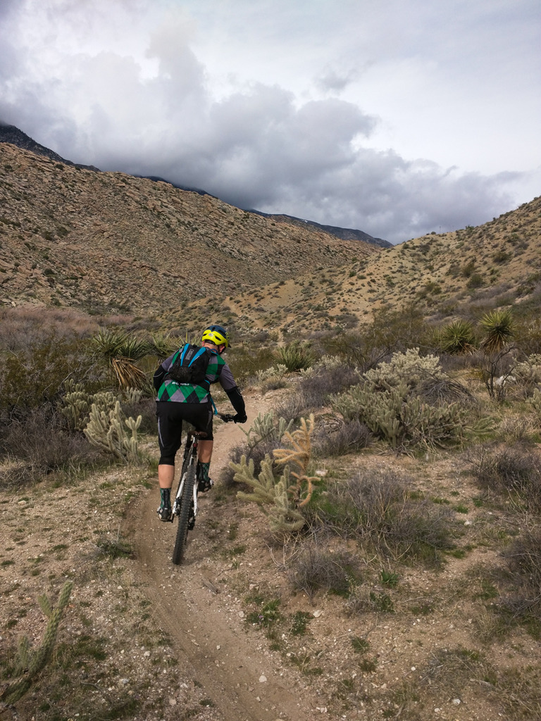 Name:  PCE-2_zpszjdi5qtd.jpg
Views: 123
Size:  373.3 KB