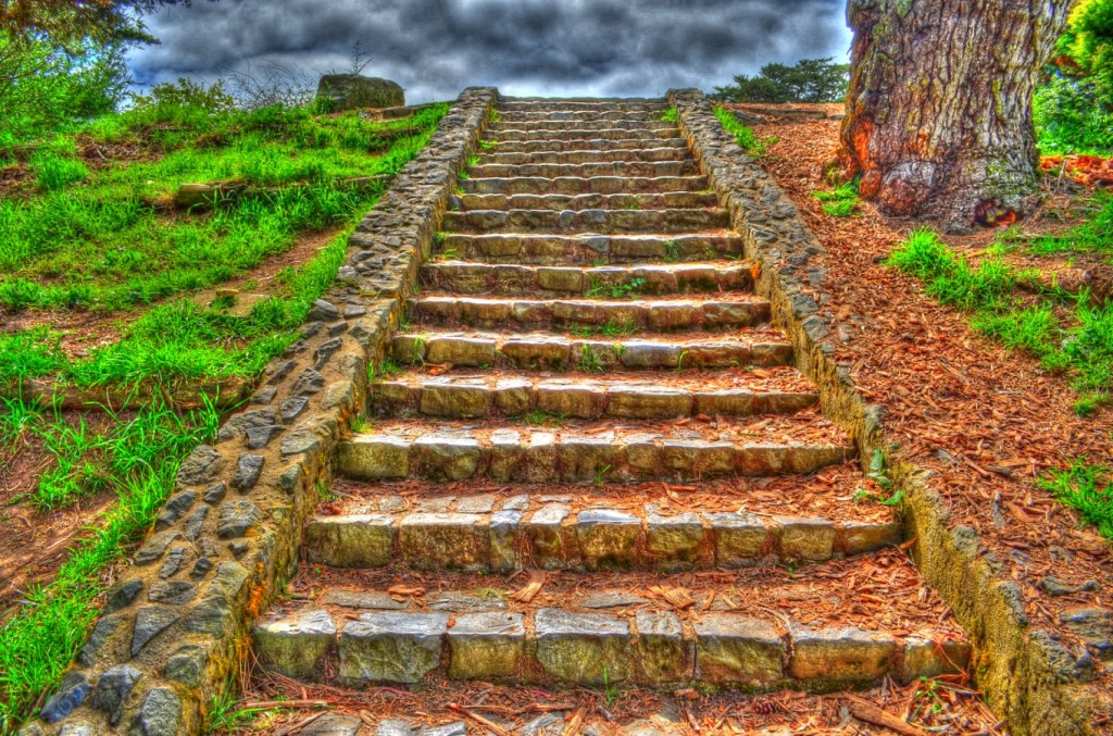 Name:  DSC_1154_5_6_tonemappedDesktopResolution.jpg
Views: 119
Size:  326.7 KB