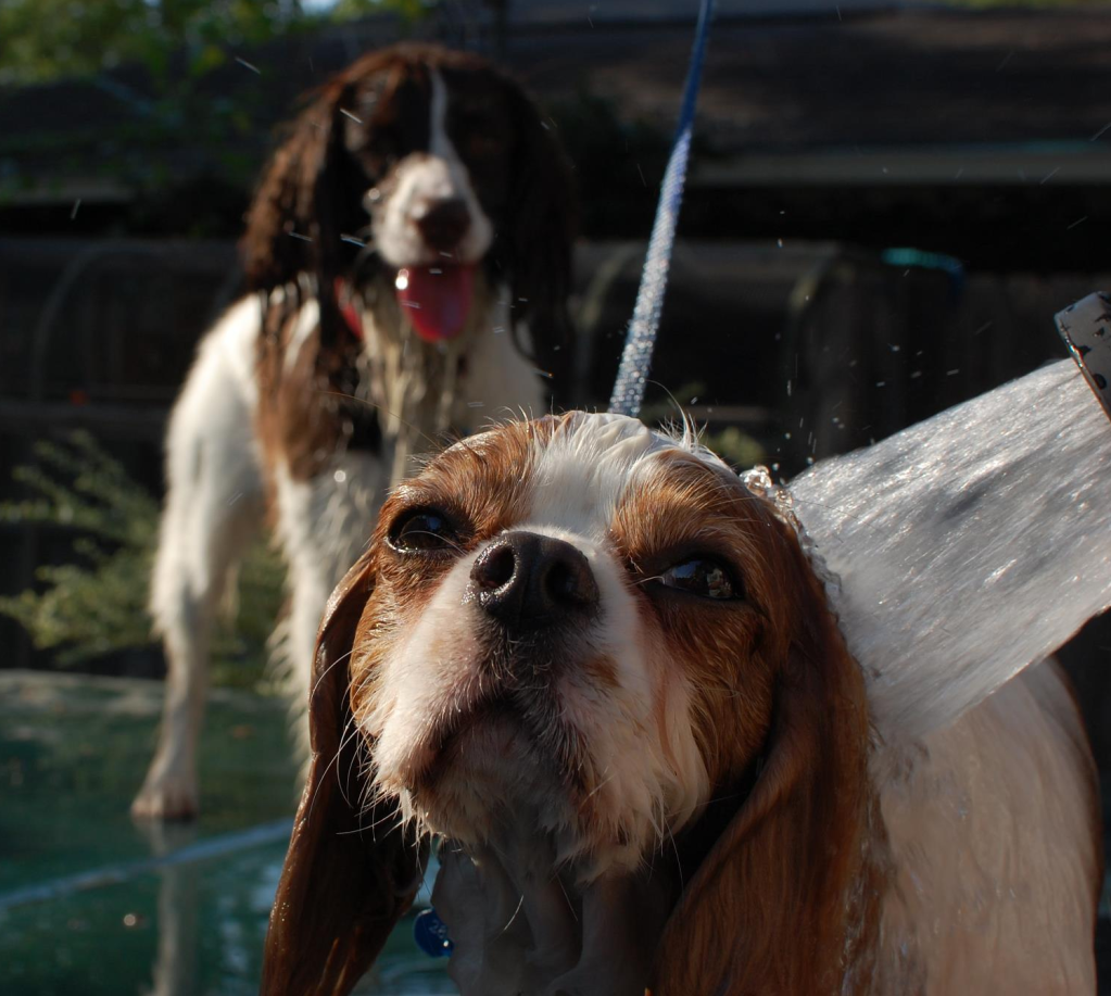 Name:  Fenderpwned.png
Views: 72
Size:  1,007.5 KB