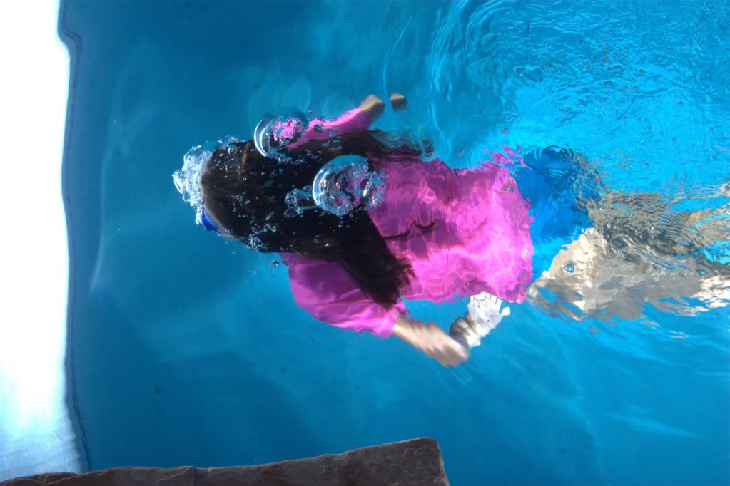 Name:  thumb_m_IMG_3890fromraw.jpg
Views: 114
Size:  73.1 KB