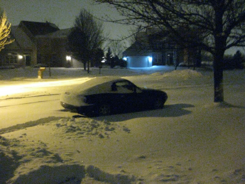 Name:  gourd003-1.jpg
Views: 245
Size:  123.4 KB