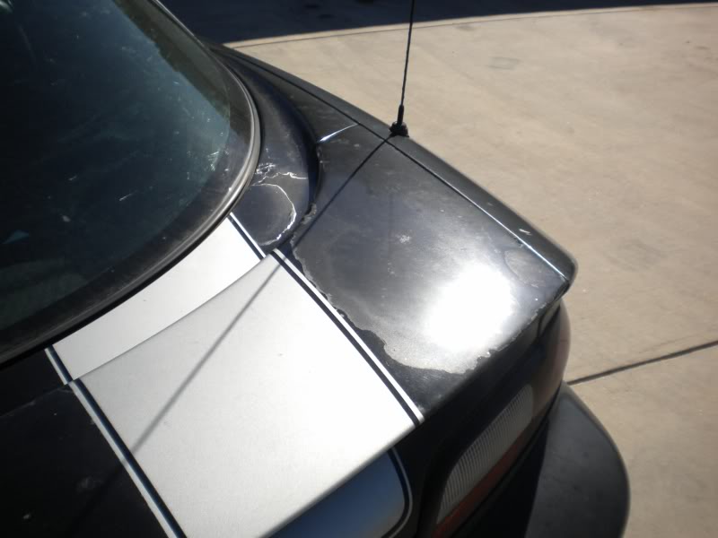 Name:  DSCN0202800x600.jpg
Views: 124
Size:  42.3 KB