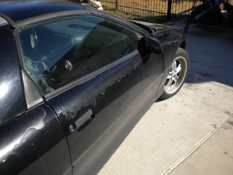 Name:  DSCN0203800x600.jpg
Views: 131
Size:  54.2 KB