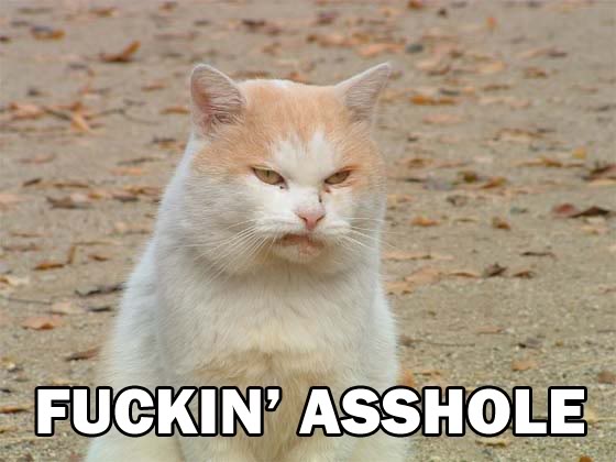 Name:  1324157194505.jpg
Views: 79
Size:  39.8 KB