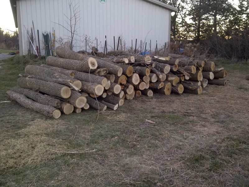 Name:  IMG-20111127-00010.jpg
Views: 66
Size:  151.0 KB