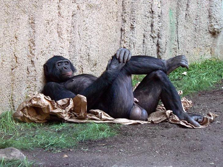 Name:  smug.jpg
Views: 125
Size:  94.7 KB