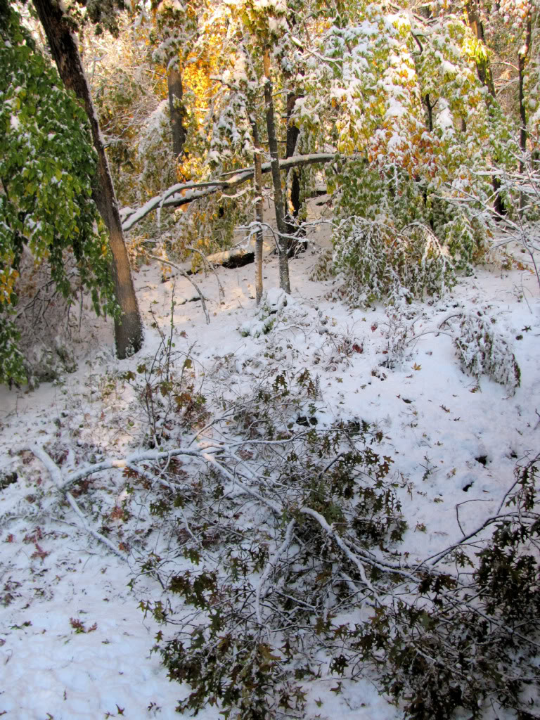 Name:  sd01.jpg
Views: 80
Size:  299.4 KB