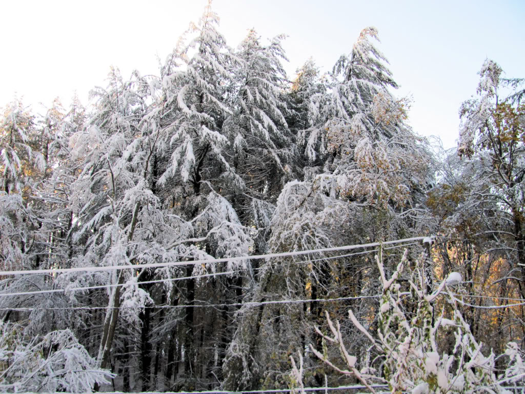 Name:  sd02.jpg
Views: 82
Size:  276.5 KB