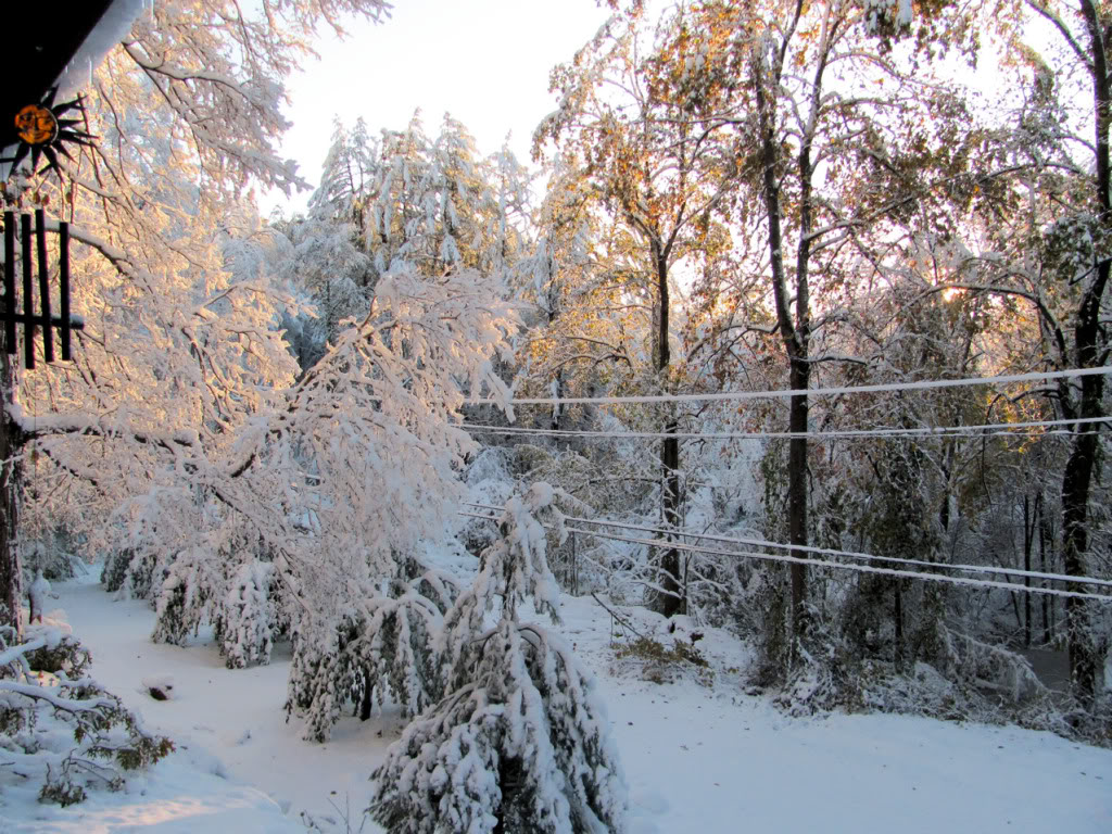 Name:  sd03.jpg
Views: 75
Size:  273.3 KB