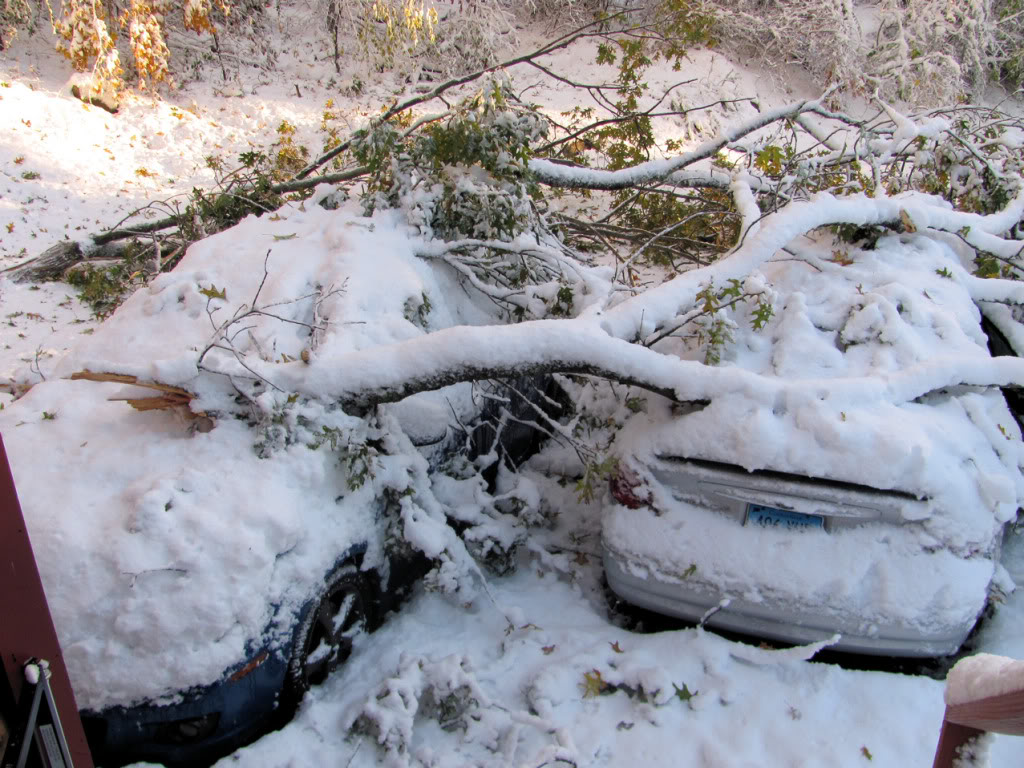 Name:  sd04.jpg
Views: 77
Size:  189.0 KB