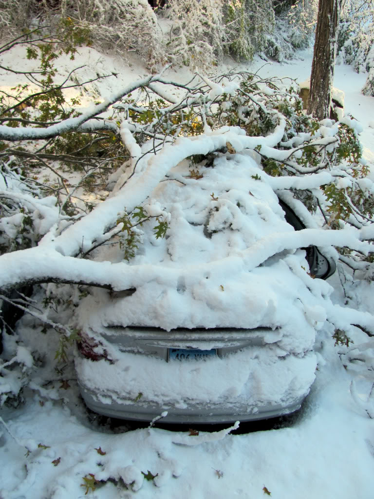 Name:  sd05.jpg
Views: 80
Size:  185.8 KB