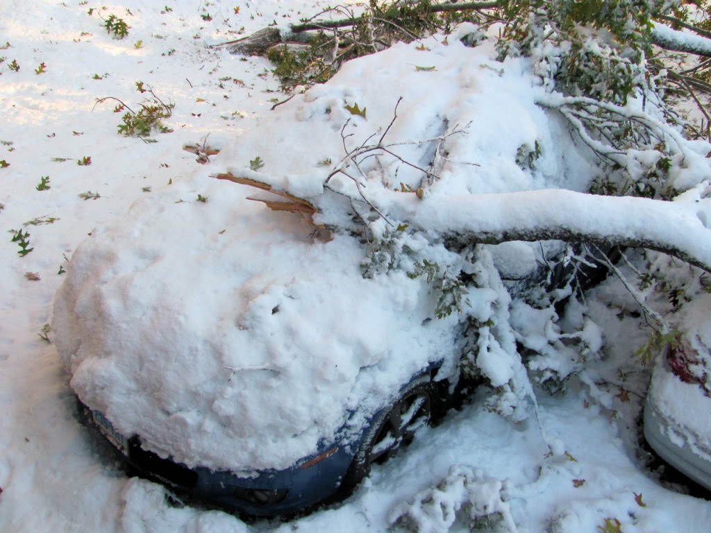 Name:  sd06.jpg
Views: 85
Size:  150.3 KB