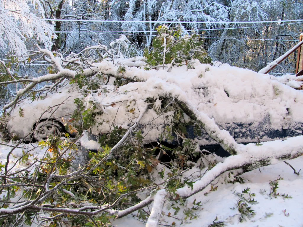 Name:  sd07.jpg
Views: 76
Size:  277.6 KB