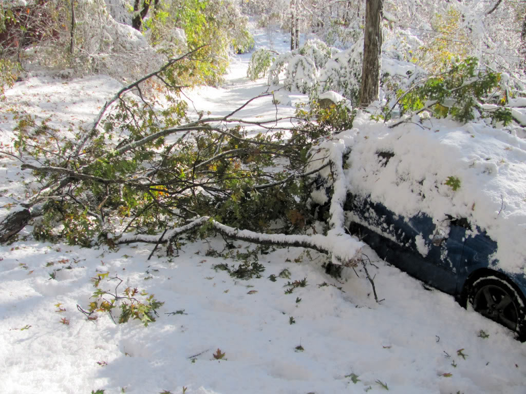 Name:  sd08.jpg
Views: 88
Size:  214.2 KB