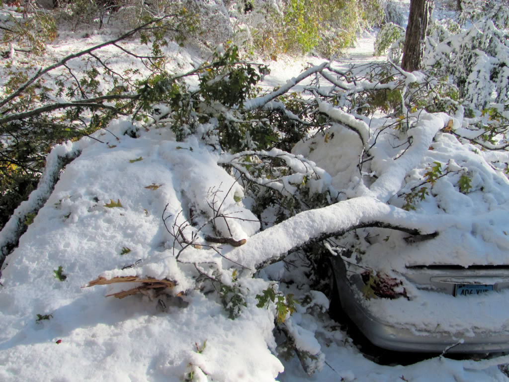 Name:  sd09.jpg
Views: 80
Size:  214.3 KB