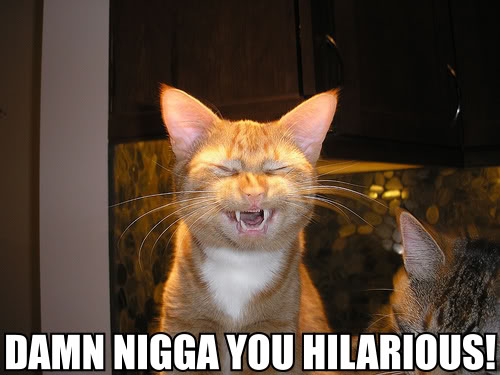 Name:  cat_damn_nigga.jpg
Views: 159
Size:  38.6 KB