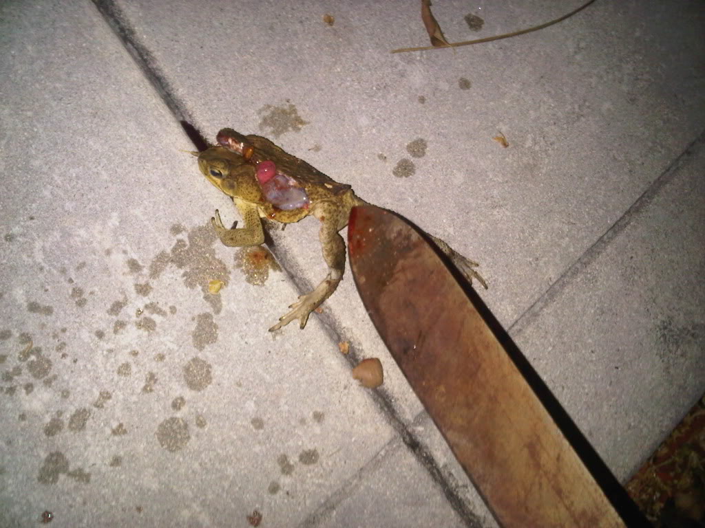 Name:  IMG00305-20110506-2156.jpg
Views: 66
Size:  144.7 KB