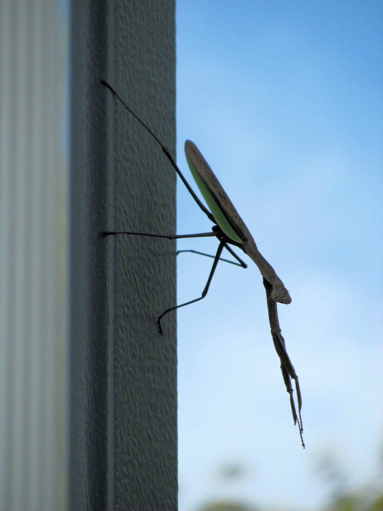 Name:  pm02.jpg
Views: 152
Size:  62.6 KB