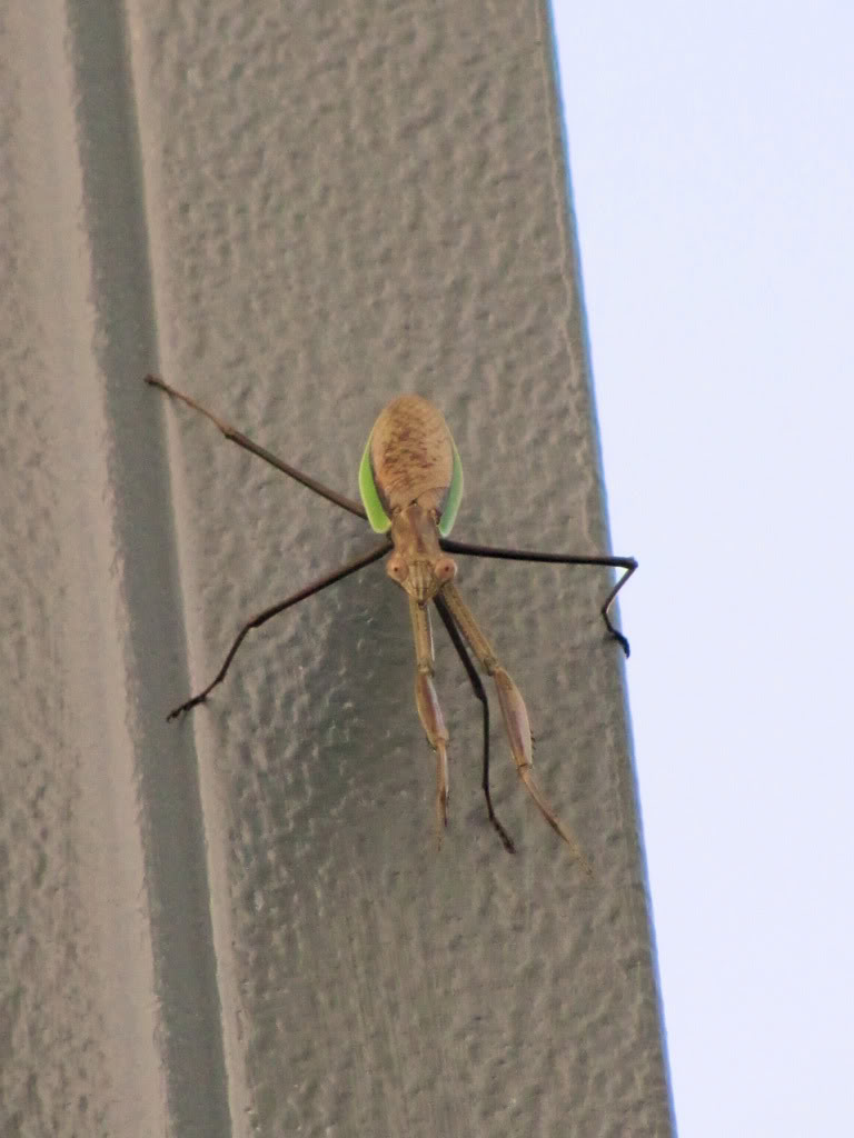 Name:  pm03.jpg
Views: 152
Size:  88.9 KB