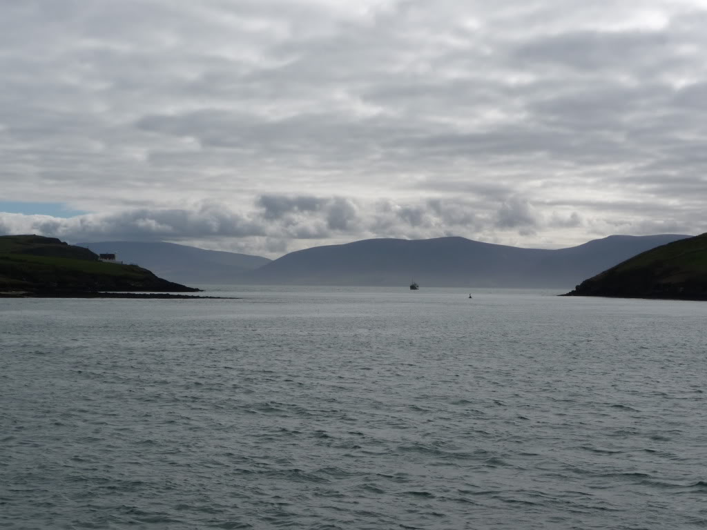 Name:  P1000151.jpg
Views: 127
Size:  88.4 KB