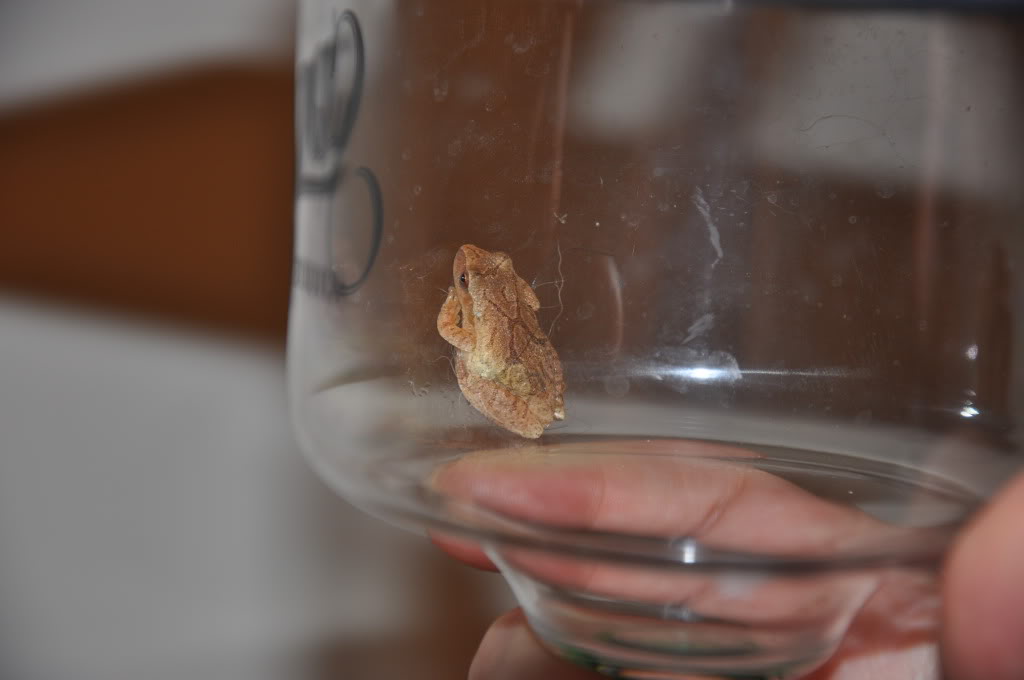 Name:  DSC_0307.jpg
Views: 111
Size:  42.3 KB