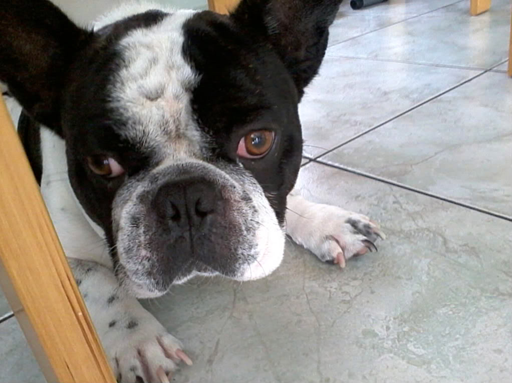 Name:  Photo386.jpg
Views: 127
Size:  100.9 KB