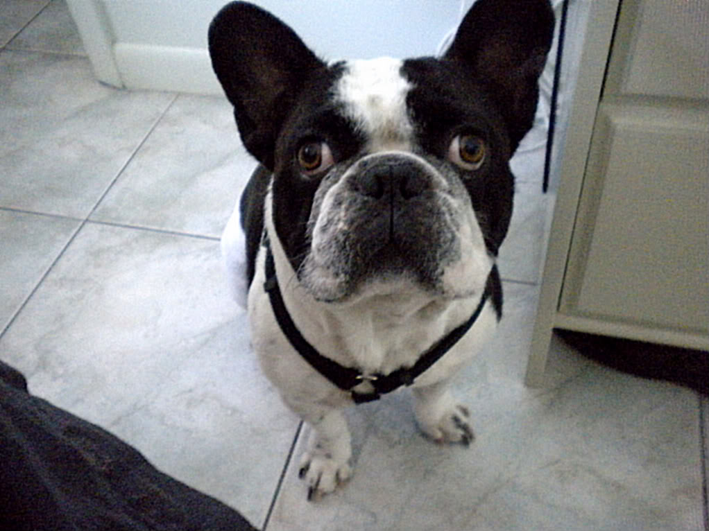 Name:  DSCN0767.jpg
Views: 129
Size:  106.9 KB