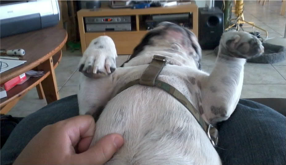 Name:  Photo718-1.jpg
Views: 123
Size:  72.2 KB