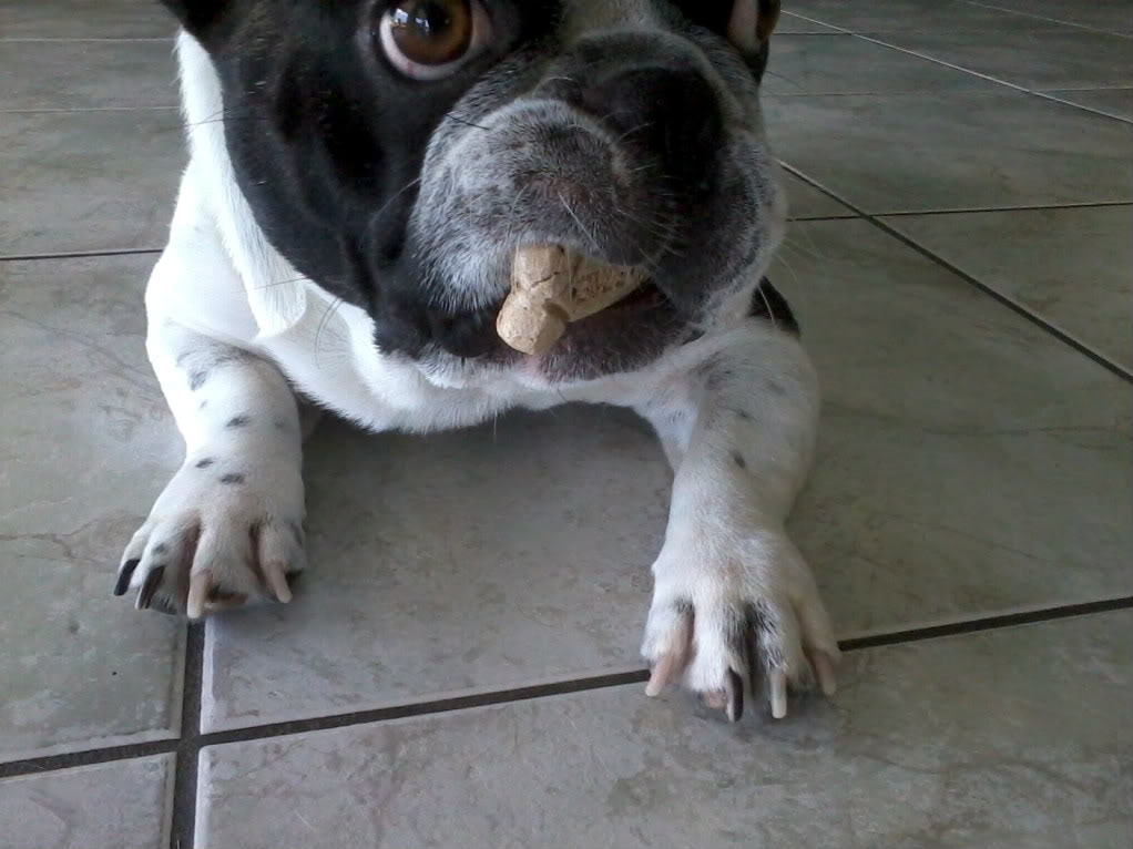 Name:  Photo781.jpg
Views: 141
Size:  97.1 KB