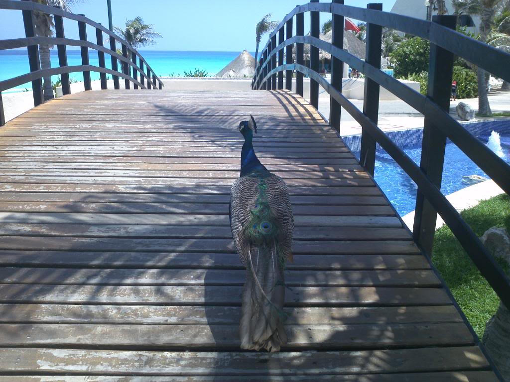 Name:  331.jpg
Views: 67
Size:  134.0 KB