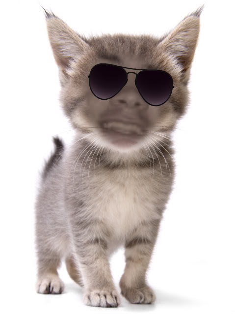 Name:  scaryme-1.jpg
Views: 108
Size:  33.6 KB