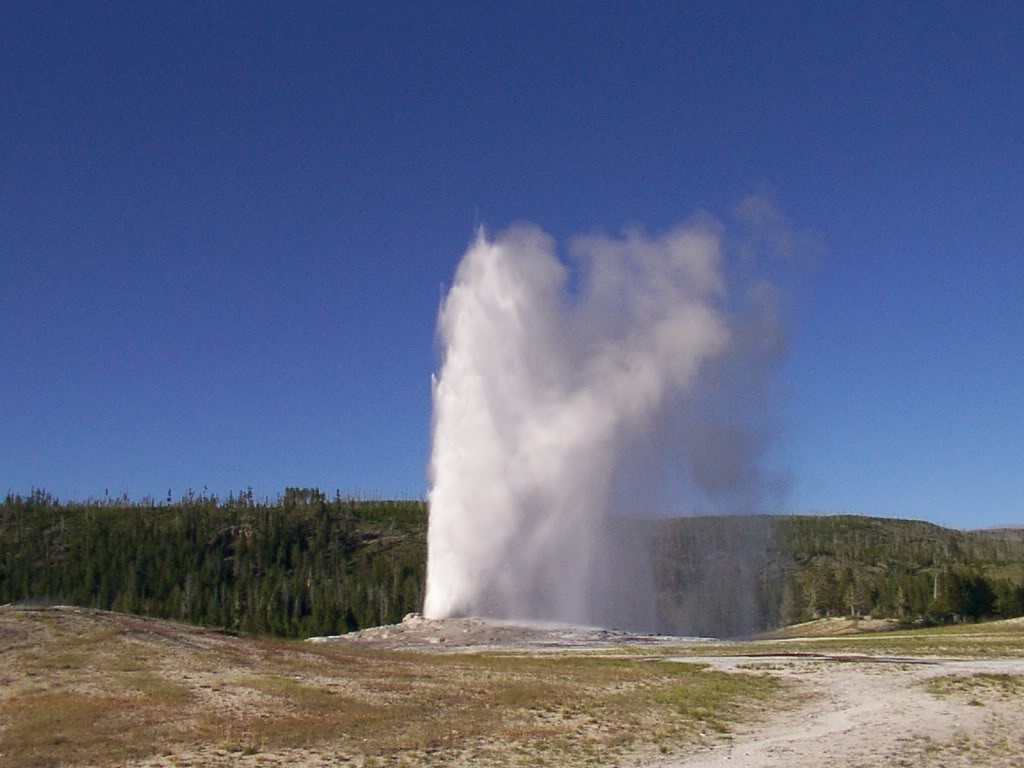 Name:  DCP_0163.jpg
Views: 84
Size:  77.0 KB