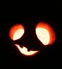 Koto, let's see your pumpkin.-pumpkin02.jpg