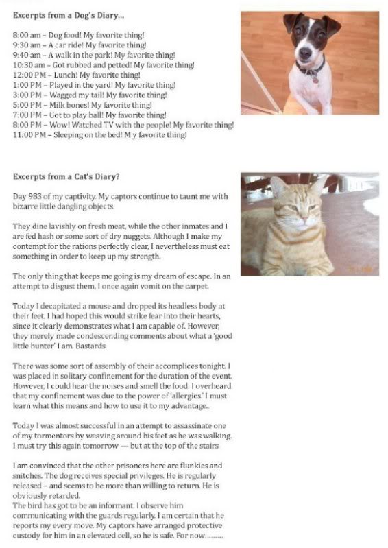 Name:  1309835594863.jpg
Views: 115
Size:  77.1 KB