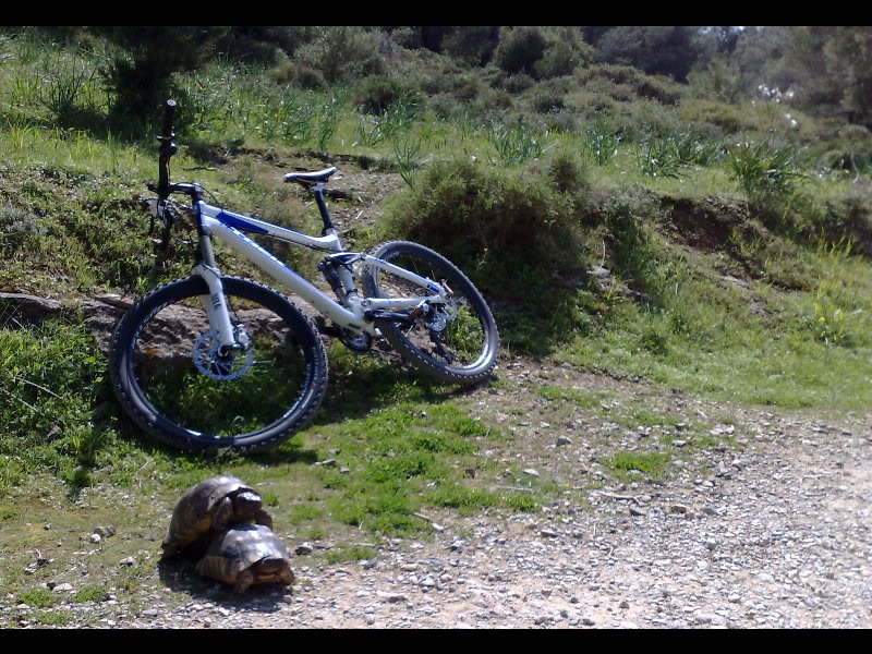 Name:  1024x768003.jpg
Views: 255
Size:  196.1 KB