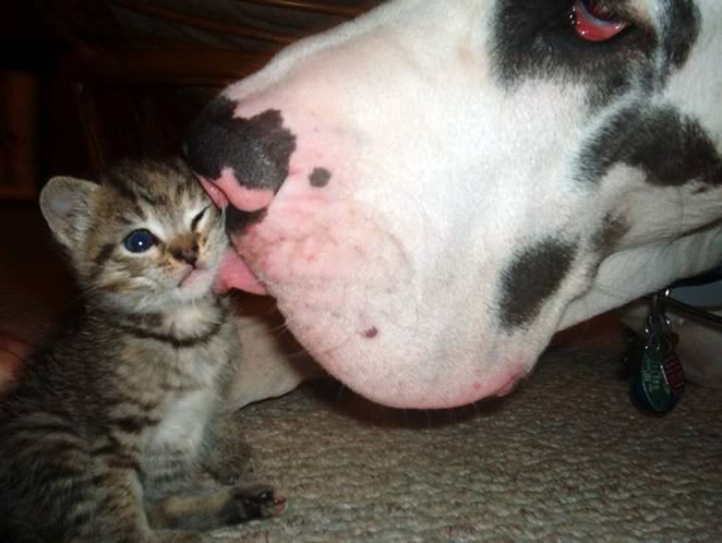 Name:  attachment-18.jpg
Views: 170
Size:  46.4 KB