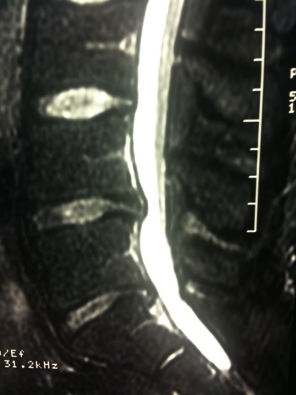 Name:  photo.jpg
Views: 241
Size:  36.1 KB