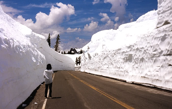 Name:  snow.jpg
Views: 138
Size:  61.5 KB