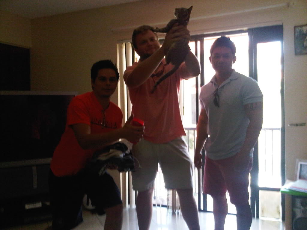 Name:  IMG00375-20110521-1302.jpg
Views: 118
Size:  87.7 KB