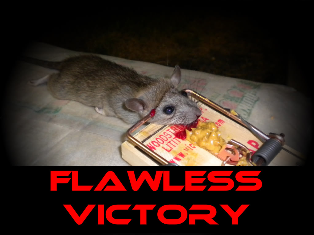 Name:  DSCN1094.jpg
Views: 146
Size:  111.0 KB