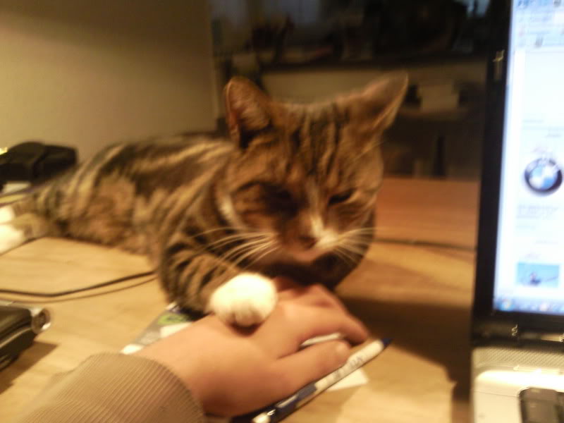 Name:  Foto0083.jpg
Views: 34
Size:  45.3 KB