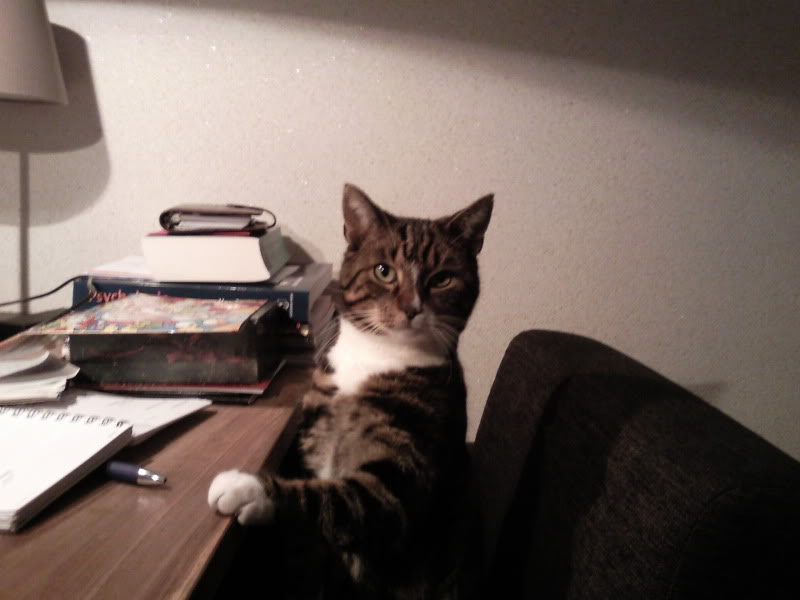 Name:  Foto0188.jpg
Views: 34
Size:  46.3 KB