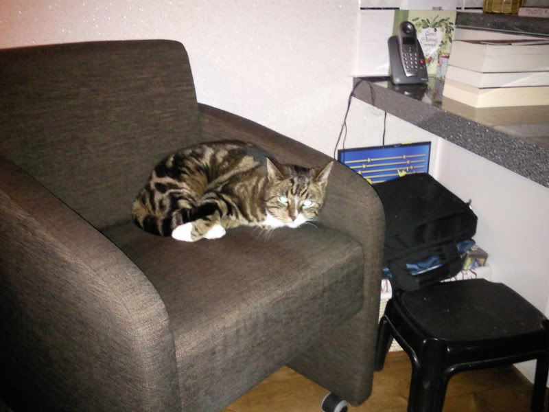 Name:  Foto0190.jpg
Views: 37
Size:  69.6 KB